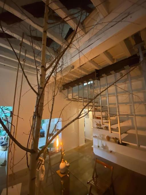 トリノCasa Degli Alberiアパートメント エクステリア 写真