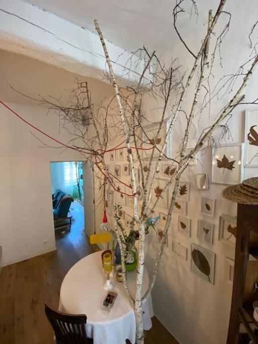 トリノCasa Degli Alberiアパートメント エクステリア 写真