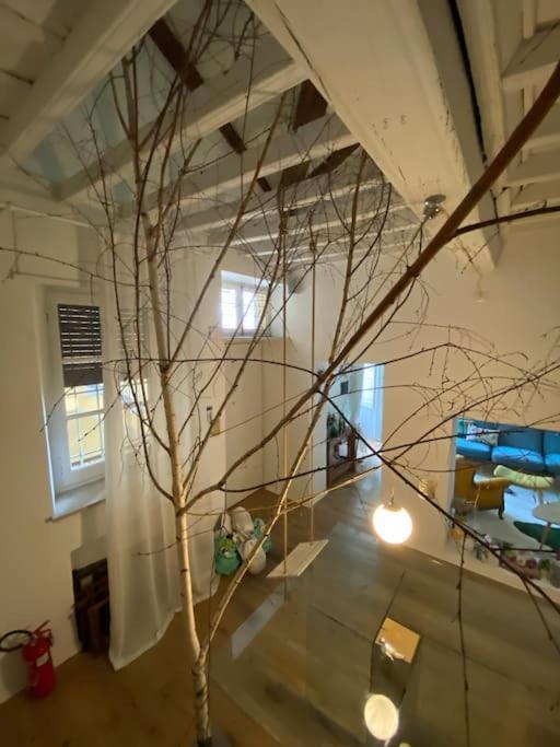 トリノCasa Degli Alberiアパートメント エクステリア 写真